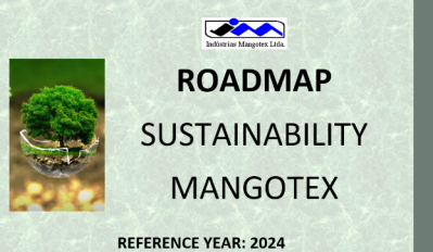 Mangotex Roadmap – 2024