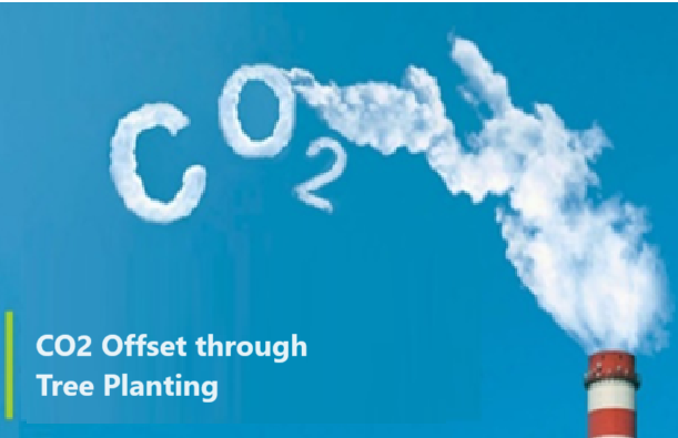 Read more about the article CO2 Offset through Tree Planting